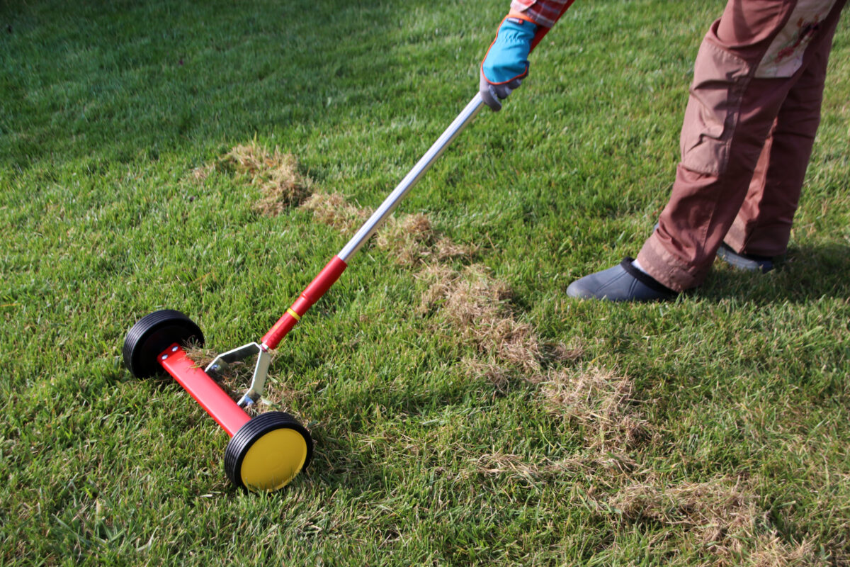 Unlocking Lawn Perfection: The Affordable and Easy Dethatching Guide